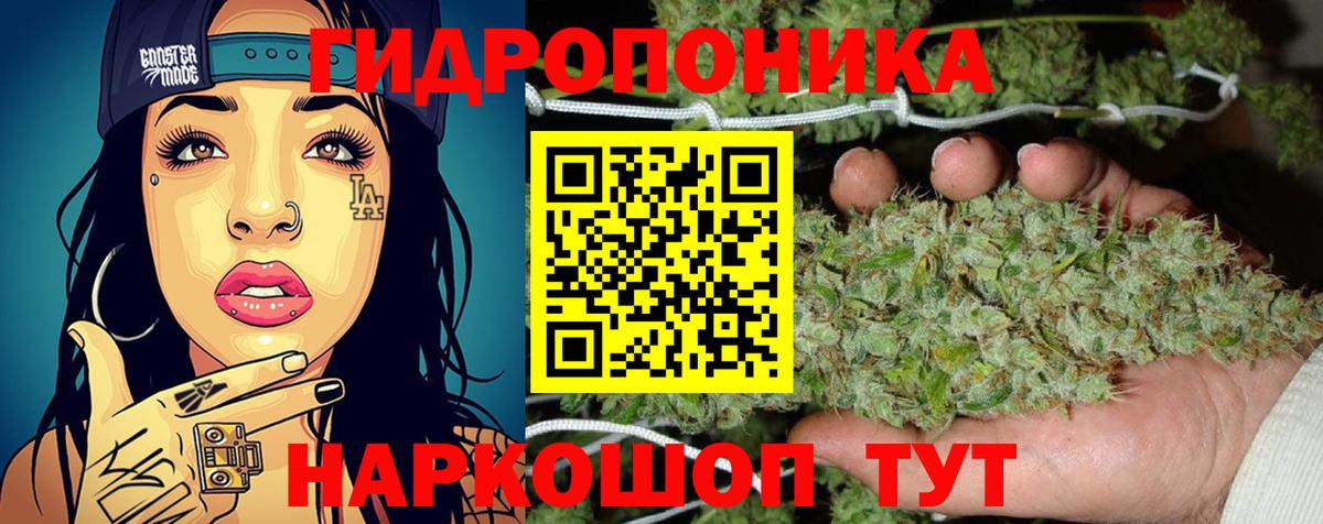 Канабис план Красногорск
